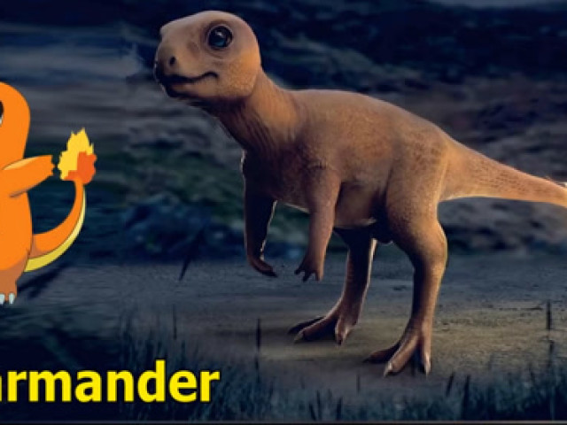 王者荣耀 国服最强韩信 吸血符文以一打四