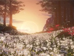 马云:纯电商时代即将结束,未来将是:集线上、线