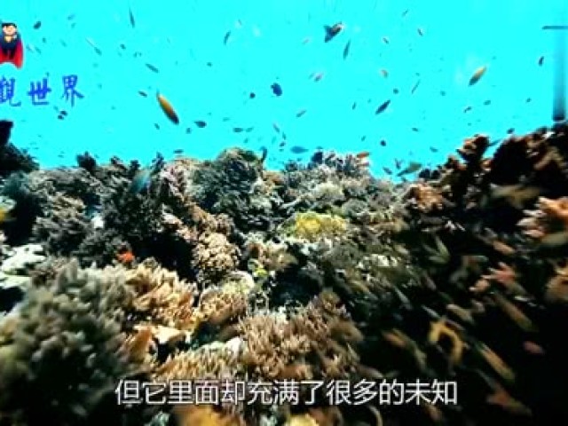 世界最危险的海,水下能见度达到70米,但过往船只都有去无回!