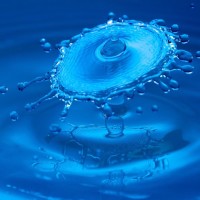 QQ飞车:马达加斯加赛道!