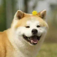 孙俪生日邓超晒时间截图,出席活动开怀大笑,展