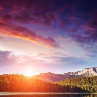 内地游客去香港居然被看不起,原因让人愤怒,网