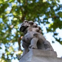 疯人院:孟喃为帮助花申穿上了碎花裙,思凡一脸