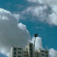 小熊猫妆都花了,想要逃却又逃不掉,真是可爱到