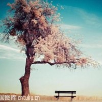 实况足球2019预测意甲 帕尔马VS尤文图斯 C罗