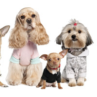 莱莱撒欢玩,轮胎看不下去要收拾莱莱,莱莱速度