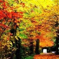 赵丽颖VS郑爽角色混剪,哪位才是你心中的女神