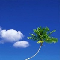 11岁女孩演绎经典老歌《三百六十五里路》,打