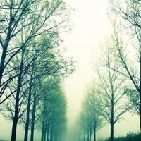 社保已交满二十五年,还有十年退休,现在停交社