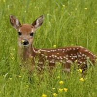 中餐厅:张亮的一碗面条都把周冬雨吃的迷离了