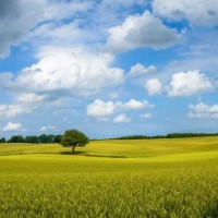 金典歌曲翻唱《无言的结局》卓依婷、好听极了