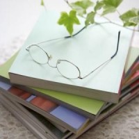 papi酱台湾人说东北话,哎呀,妈呀太逗了