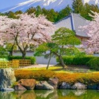 王牌对王牌:欧阳娜娜一路过五关斩六将登上顶