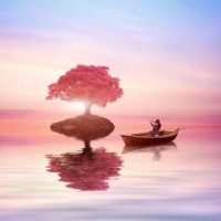 《天天向上》原创主题曲全球首发,年轻有活力