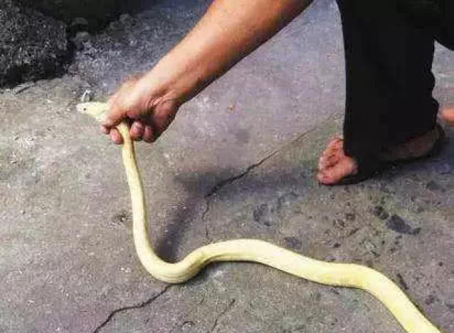 йƶ71ȡη