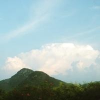 要啥演技!欧阳娜娜登美国科学家突破奖典礼演