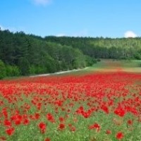 2018最新爆笑喜剧片,小伙子又出神作,状况百出