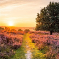 羡慕!贵阳男子结婚彩礼钱十万元,女方父母陪嫁