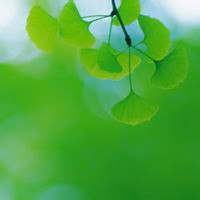 2018抖音最火大合唱,刘德华这首《一起走过的