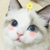 林更新赵丽颖《恋爱神偷》 撩你不需要理由,赵