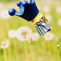 切尔西未来新希望 00后小将奥多伊高光集锦