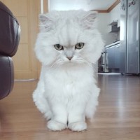 育儿说怀孕37周,胎儿往上顶着孕妇的胃,就这三