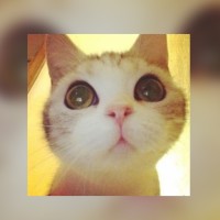 神话:小月假装是高岚,把小川给吓傻了