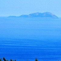 想念孤独的滋味