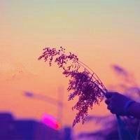 《玩具益趣园》可以画画的巧克力棒食玩看起来