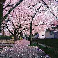 华昊卓信息技术