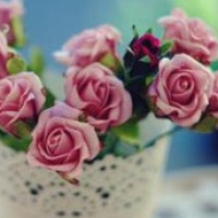 杨宗纬张碧晨合作演唱凉凉,韩国人看凉凉反应