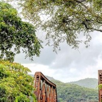 韩国女主播吃播,大口吃肉还嫌不够吃