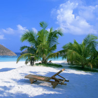 猫和老鼠:搞笑四川话来给猫和老鼠配音,太好玩