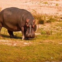 张召忠,看到网友搞笑自己做鬼畜视频,局座居然