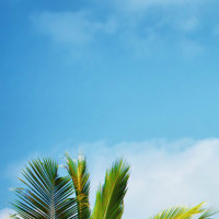 阳曦爱解说影视