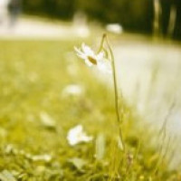 嘉克希文化传媒