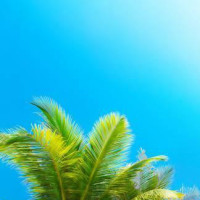 帅红爱解说影视