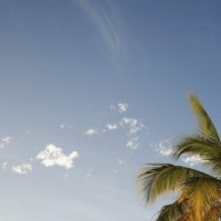 芸若爱解说影视