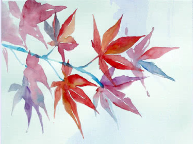 水彩画:秋风起,枫叶红,一起画秋天的枫叶