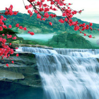 亦凝爱解说影视