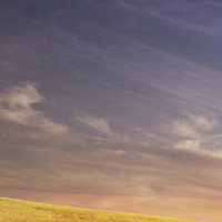 我爱柔术我快乐!