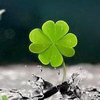 这个人模仿薛之谦之后,全场安静了,薛之谦都说