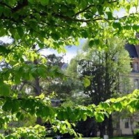 经典鬼片:九叔上次这么笑,死了好几口啊