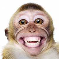 《皇后的品格》吴哈喽代替文森特.李参加发布