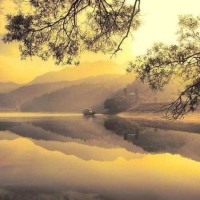 赛尔号:人民币玩家与平民玩家的区别,看完泪奔