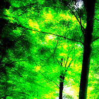 《火影忍者》自来也死后,漩涡鸣人家里卫生这