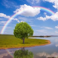 《蓝色大海的传说》人鱼全智贤熬夜看电视剧