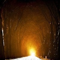 邯郸舞社飞轮海只对你有感觉抖音舞蹈镜面分解