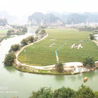 2019中国乒乓球联赛