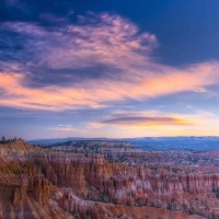 张馨予拿着画笔的美人 一时想不出合适的词语